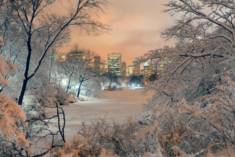 Snow Removal New York